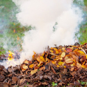 Arderea deșeurilor este interzisă pe raza orașului Tăuții-Măgherăuș