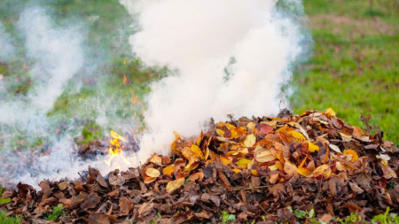 Arderea deșeurilor este interzisă pe raza orașului Tăuții-Măgherăuș