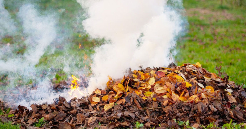 Arderea deșeurilor este interzisă pe raza orașului Tăuții-Măgherăuș