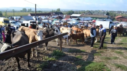 „Târg la Ariniș”: o nouă expoziție de ovine, cabaline, bovine și caprine va avea loc primăvara aceasta, în comuna Ariniș