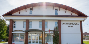 Casa Orășenească de Cultură Seini va găzdui o seară de film cu intrare liberă