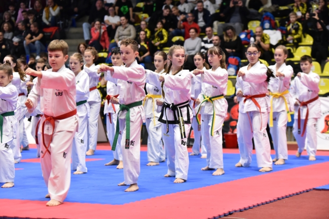 Clubul Sportiv Dragonul Baia Mare își extinde activitatea: din luna mai se organizează antrenamente de Taekwon-do ITF și în Baia Sprie