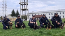 Câinii de serviciu ai ITPF Sighet, parteneri de nădejde la frontieră