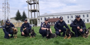 Câinii de serviciu ai ITPF Sighet, parteneri de nădejde la frontieră