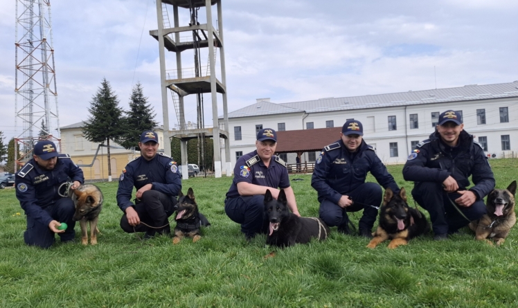 Câinii de serviciu ai ITPF Sighet, parteneri de nădejde la frontieră