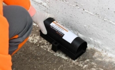 Deratizare în Baia Mare, din 23 martie