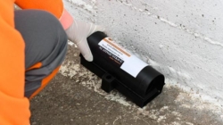 Deratizare în Baia Mare, din 23 martie