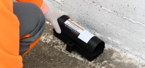 Deratizare în Baia Mare, din 23 martie