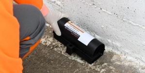 Deratizare în Baia Mare, din 23 martie