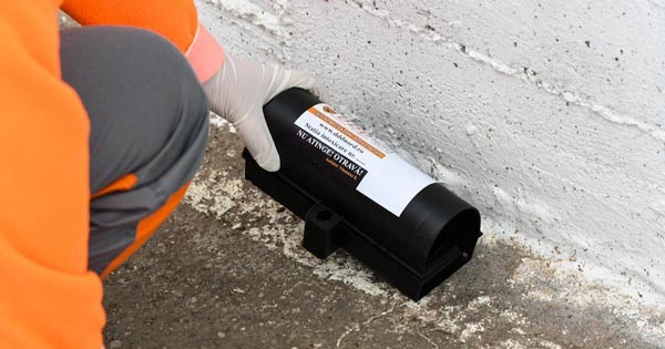 Deratizare în Baia Mare, din 23 martie