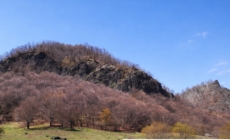 Pasionații de expediții în natură sunt invitați să participe la drumeția pe Pietrele Șoimilor – Cavnic, organizată în cadrul Cupei Sănătate Prin Mișcare 2026