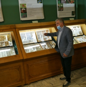Expoziția „Petale zburătoare- fluturi de pe 5 continente” a fost vernisată la Muzeul Județean de Mineralogie din Baia Mare