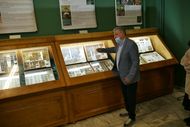 Expoziția „Petale zburătoare- fluturi de pe 5 continente” a fost vernisată la Muzeul Județean de Mineralogie din Baia Mare