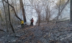 Incendiu de vegetație în Baia Mare, într-o zonă cu acces dificil