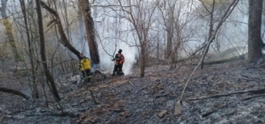 Incendiu de vegetație în Baia Mare, într-o zonă cu acces dificil