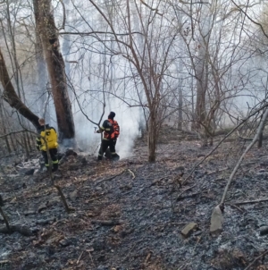 Incendiu de vegetație în Baia Mare, într-o zonă cu acces dificil