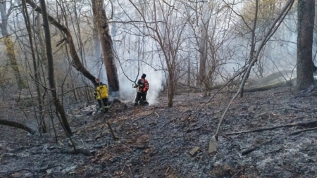Incendiu de vegetație în Baia Mare, într-o zonă cu acces dificil