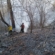Incendiu de vegetație în Baia Mare, într-o zonă cu acces dificil