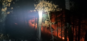 ISU și IPJ Maramureș, împreună pentru combaterea incendiilor de vegetație