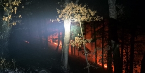 ISU și IPJ Maramureș, împreună pentru combaterea incendiilor de vegetație