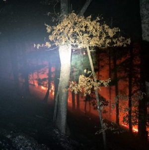 ISU și IPJ Maramureș, împreună pentru combaterea incendiilor de vegetație
