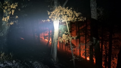 ISU și IPJ Maramureș, împreună pentru combaterea incendiilor de vegetație