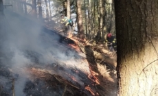 Intervenție cu elicopterul pentru stingerea unui incendiu de pădure în Nănești