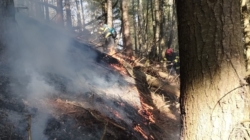 Intervenție cu elicopterul pentru stingerea unui incendiu de pădure în Nănești