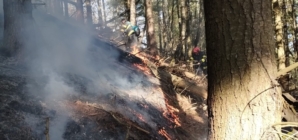 Intervenție cu elicopterul pentru stingerea unui incendiu de pădure în Nănești