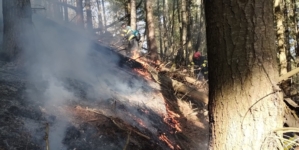 Intervenție cu elicopterul pentru stingerea unui incendiu de pădure în Nănești