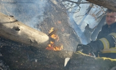 Zeci de hectare de teren afectate de incendii de vegetație în ultimele zile în Maramureș
