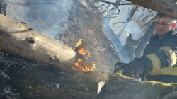 Zeci de hectare de teren afectate de incendii de vegetație în ultimele zile în Maramureș