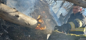 Zeci de hectare de teren afectate de incendii de vegetație în ultimele zile în Maramureș