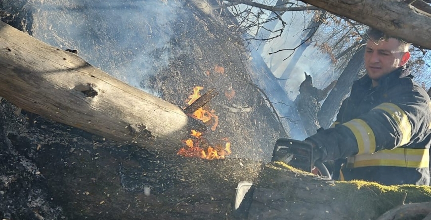 Zeci de hectare de teren afectate de incendii de vegetație în ultimele zile în Maramureș
