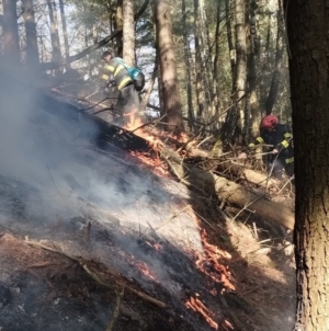 Intervenție cu elicopterul pentru stingerea unui incendiu de pădure în Nănești
