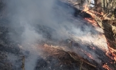 Incendiu de vegetație într-o zonă greu accesibilă din Ieud