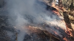 Incendiu de vegetație într-o zonă greu accesibilă din Ieud