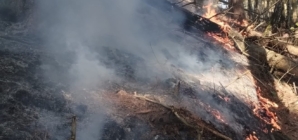 Incendiu de vegetație într-o zonă greu accesibilă din Ieud