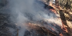 Incendiu de vegetație într-o zonă greu accesibilă din Ieud