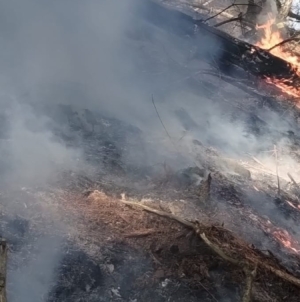 Incendiu de vegetație într-o zonă greu accesibilă din Ieud