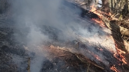 Incendiu de vegetație într-o zonă greu accesibilă din Ieud