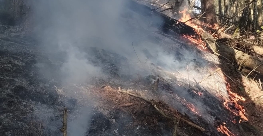 Incendiu de vegetație într-o zonă greu accesibilă din Ieud