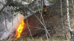 Incendiu pe Dealul Minei, în Baia Sprie