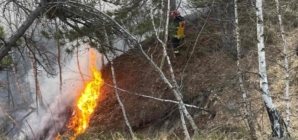 Incendiu pe Dealul Minei, în Baia Sprie
