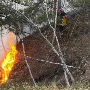 Incendiu pe Dealul Minei, în Baia Sprie