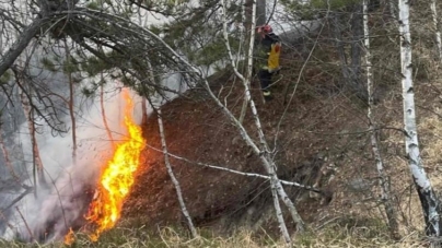 Incendiu pe Dealul Minei, în Baia Sprie