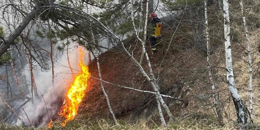 Incendiu pe Dealul Minei, în Baia Sprie