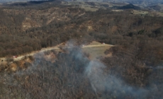 Incendiu de vegetație uscată și fond forestier în zona Suciu de Sus