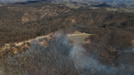 Incendiu de vegetație uscată și fond forestier în zona Suciu de Sus