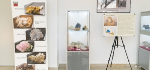 Expoziția „Magia Cristalelor – Flori de mină din Maramureș”, realizată în cadrul Muzeului de Mineralogie din Baia Mare, a fost vernisată în Foaierul Direcției pentru Cultură, Tineret și Sport Oltenița